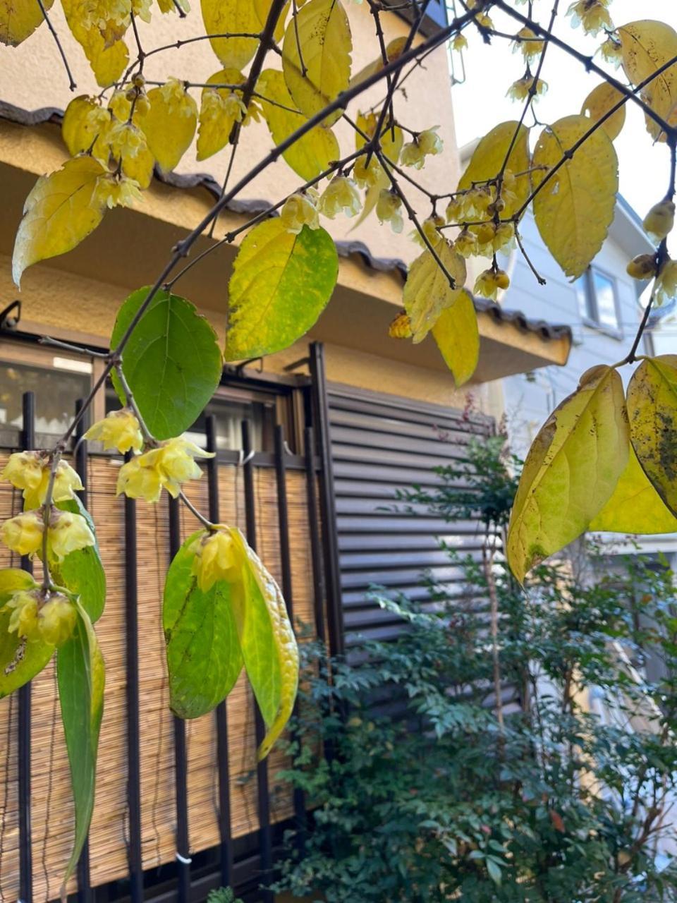 Annam Stay Osaka - Whole Three Story House Rental ภายนอก รูปภาพ
